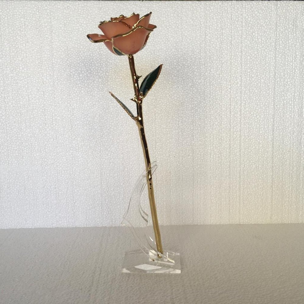 Eternal Love Rose Dipped in 24k Gold Foil V13